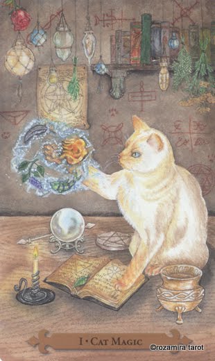 Mystical Cats Tarot